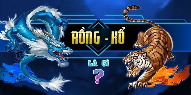 Rồng hổ 77win là gì?